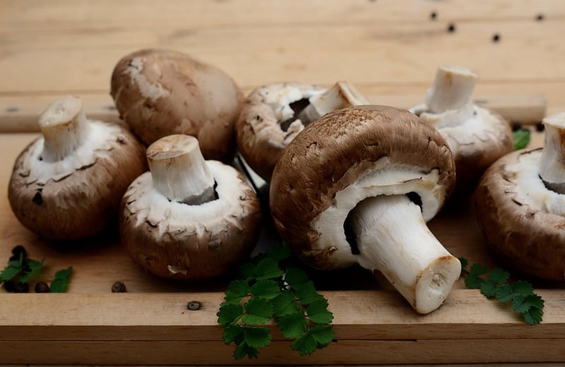 Spring Vegetarian Dishes